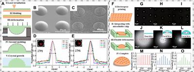 Miniature bioinspired artificial compound eyes: microfabrication technologies, photodetection and applications